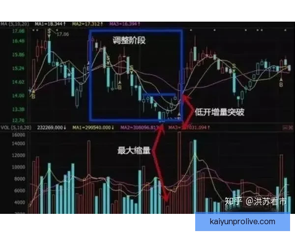 世界杯跟单策略全解析 玩转投注技巧提升收益 轻松把握赛事机会